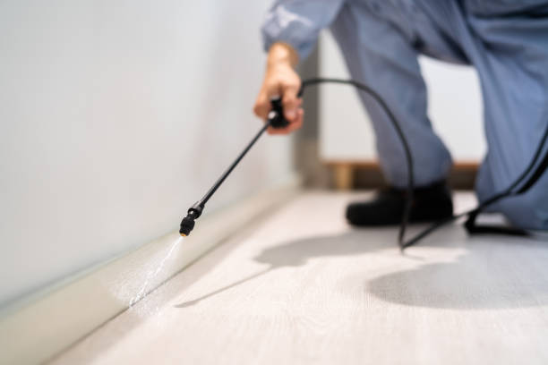 Licensed Mosquito Control service in Canadian County County, OK - Nex Pest Control